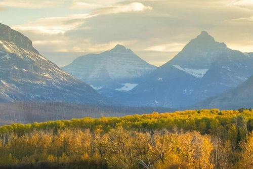 Case Study: Deer Camp Digital’s Digital Marketing Strategy Real Estate Professionals