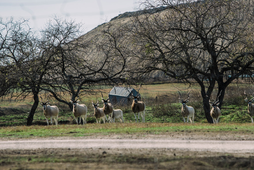 Why Consistent Branding Is Crucial for Outdoor Companies