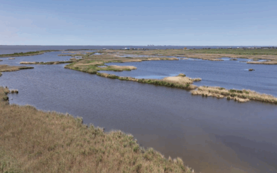 Outdoor Industry Trends for 2026 and Beyond